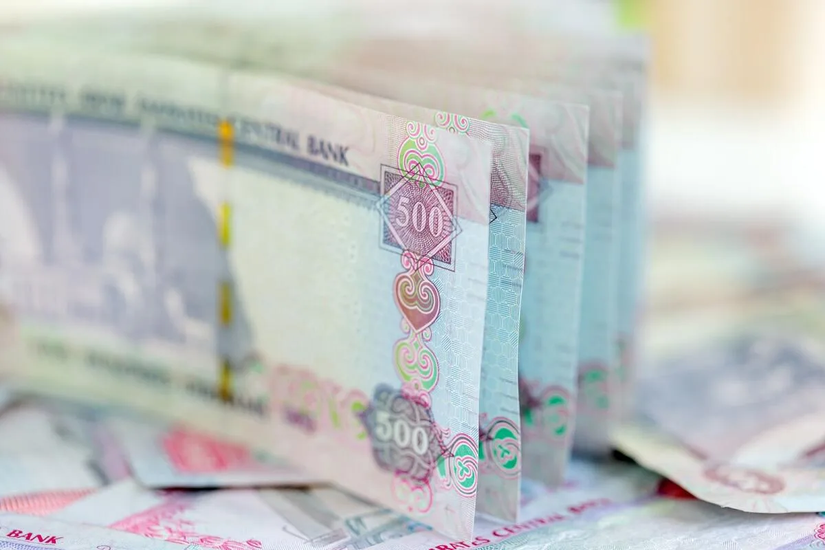تمويلات القطاع الخاص من البنوك الإماراتية تصل إلى 63.2 مليار درهم