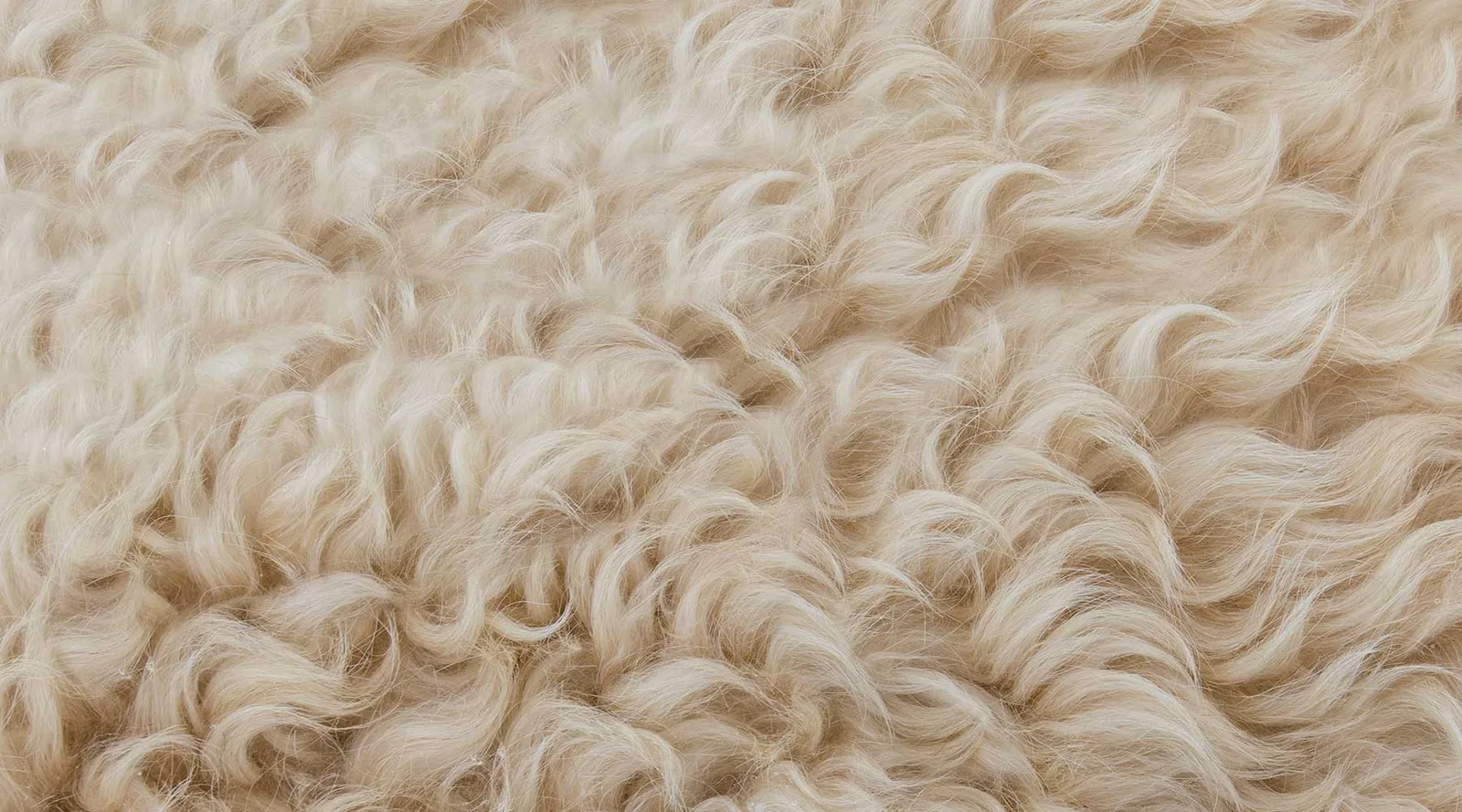 Wool