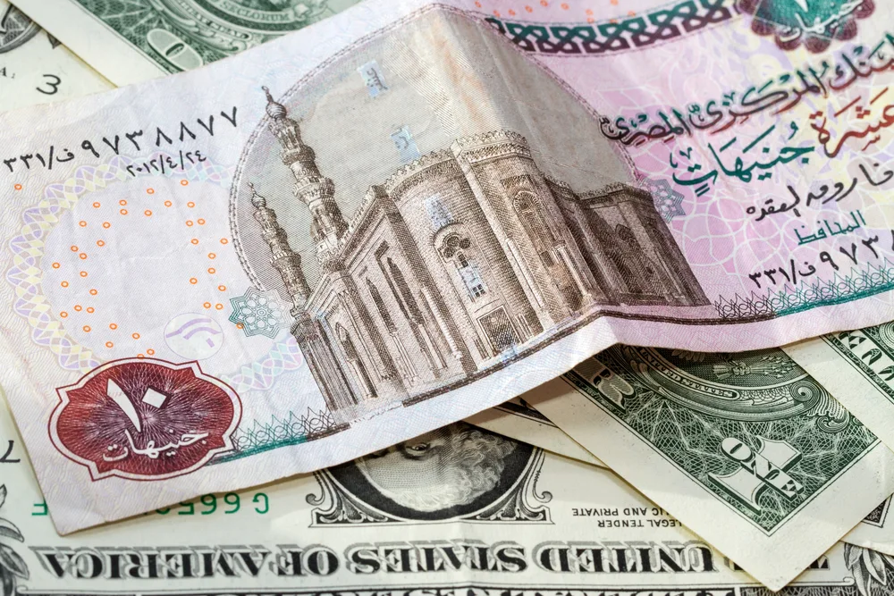 ماذا يعني تعويم العملة؟