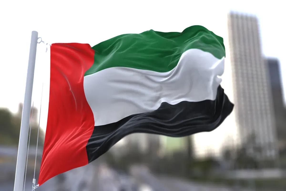 حجب 1117 موقعًا إلكترونيًا في الإمارات بسبب انتهاكات حقوق الملكية الفكرية