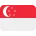 🇸🇬