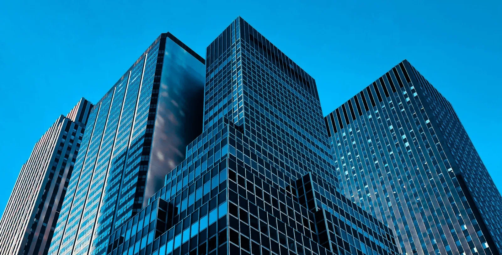 أكبر 10 شركات أفريقية لعام 2025 من حيث الإيرادات