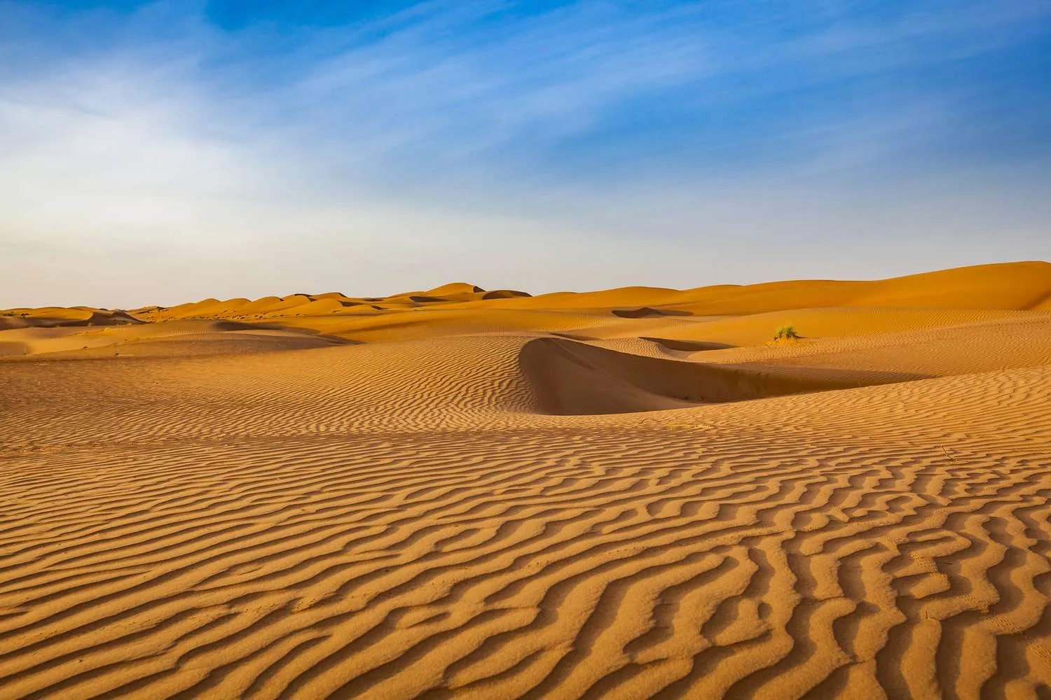ما هي أكبر صحاري في العالم 2024 ؟