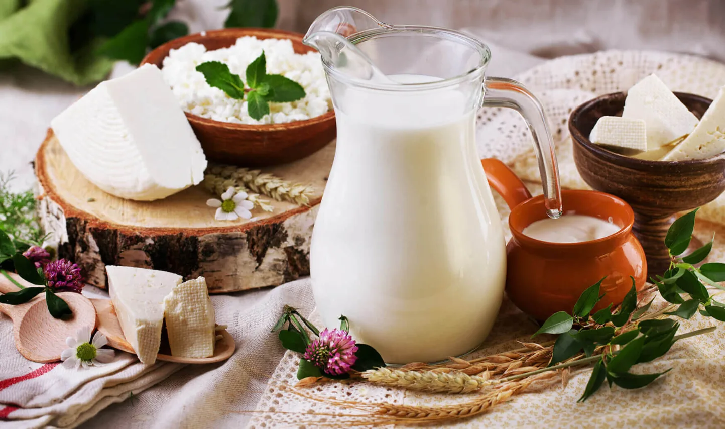 من هي أكبر شركة ألبان في العالم؟