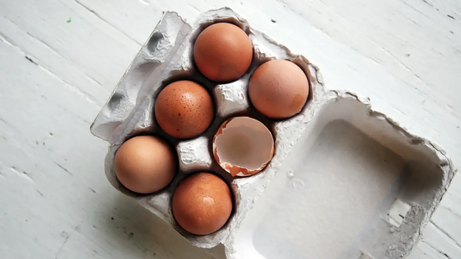 أكبر الدول المصدرة للبيض الطازج في عام 2025