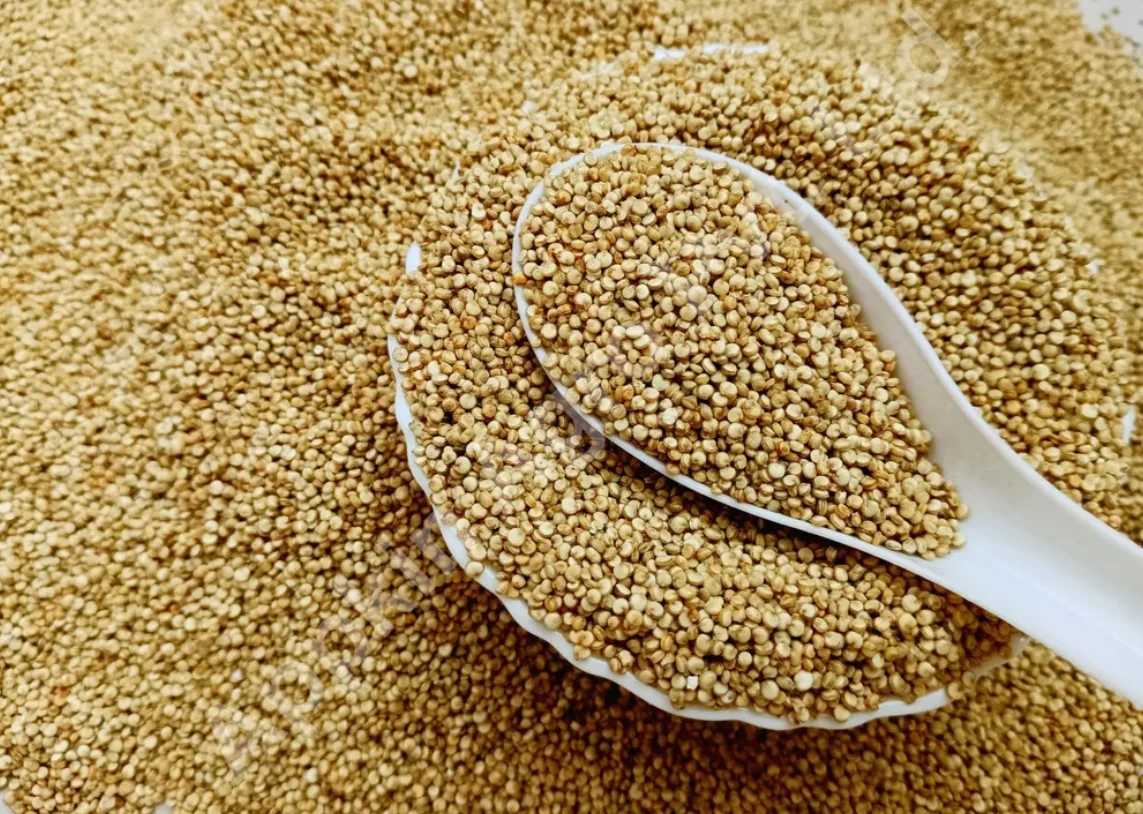 10 دول رائدة في إنتاج الكينوا