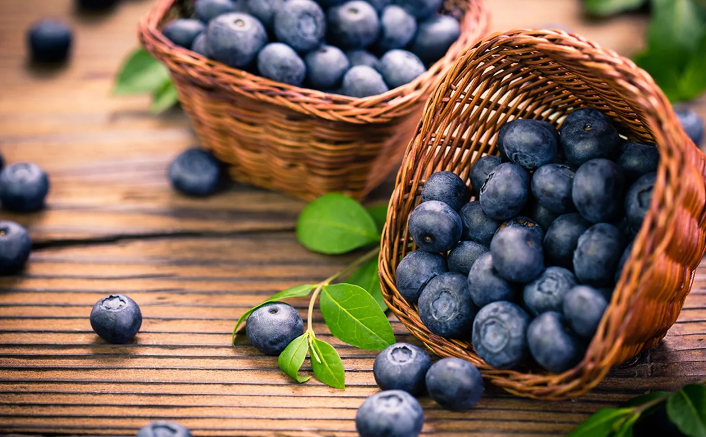 أكثر الدول إنتاجاً للتوت الأزرق في العالم
