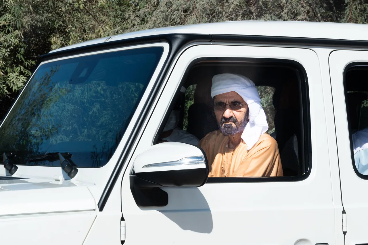 تعرف على صندوق محمد بن راشد للابتكار في الإمارات - صورة 2