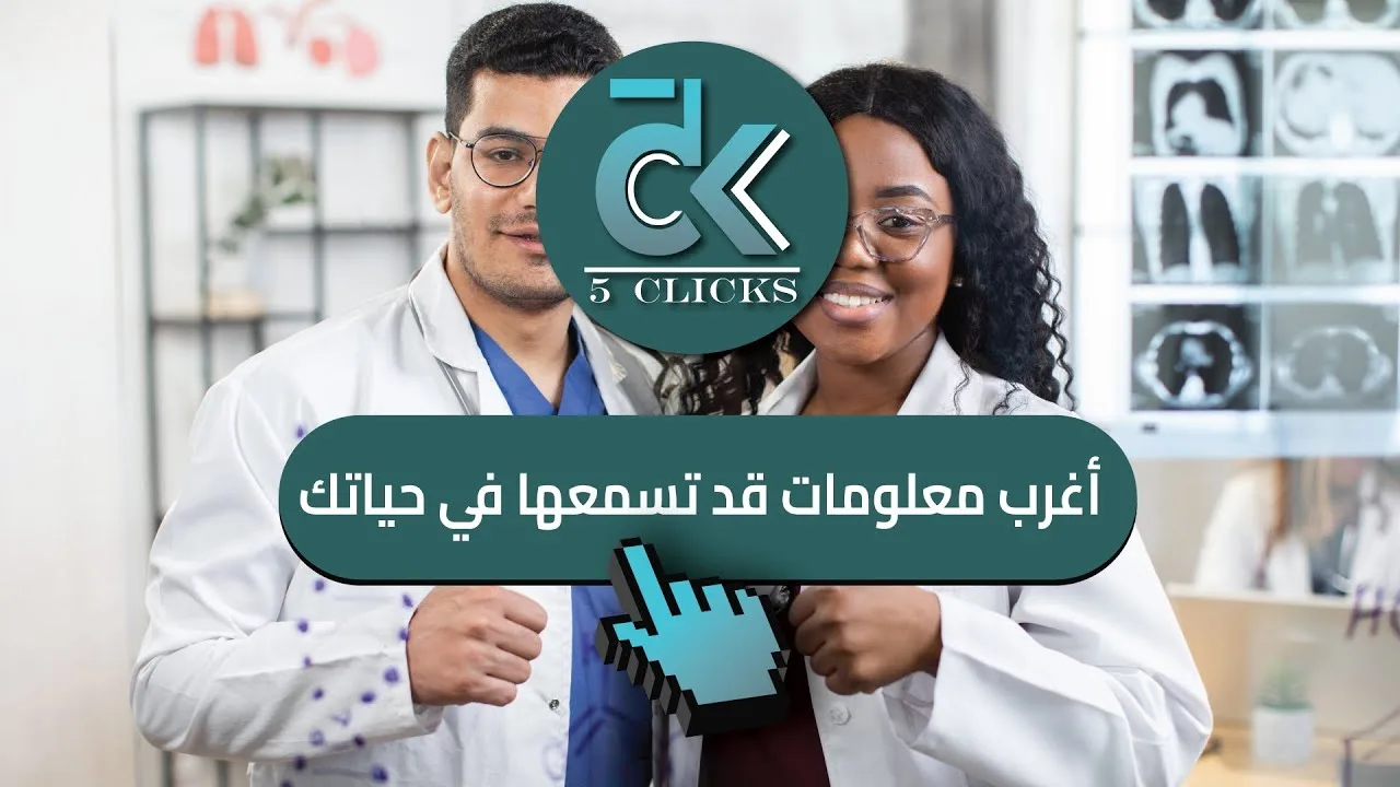 الولايات المتحدة تعتمد نظام تأشيرات سريع لحاملي تذاكر كأس العالم 2026