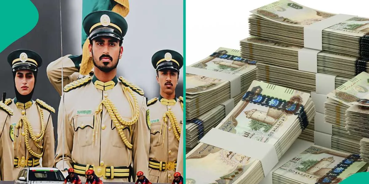 رواتب الجيش الإماراتي للوافدين: الشروط والرتب والبدلات