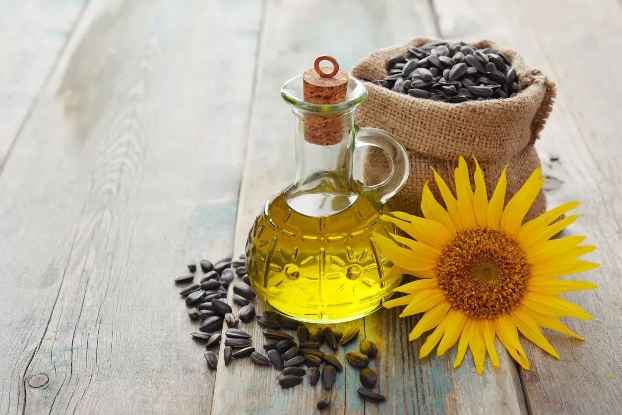 إنتاج زيت دوار الشمس