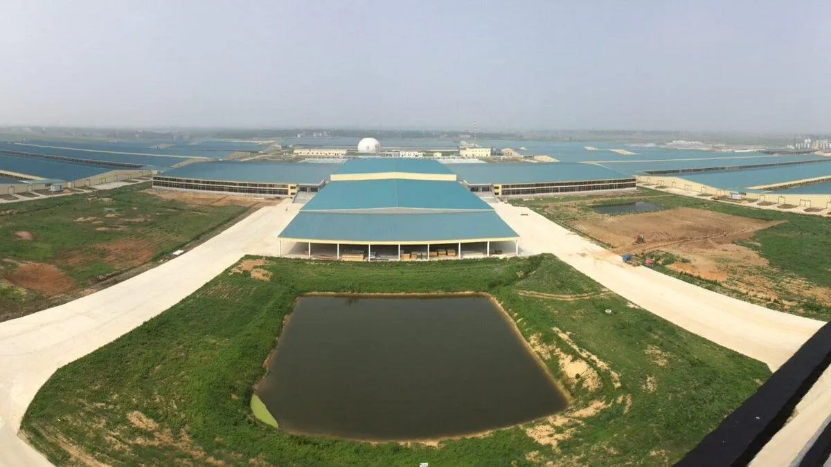 مزرعة مودانجيانغ العملاقة