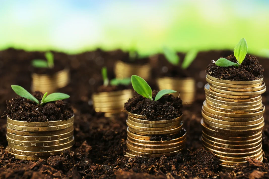 Money-plants