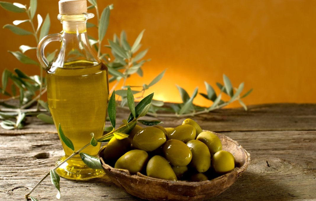 انتاج الزيتون