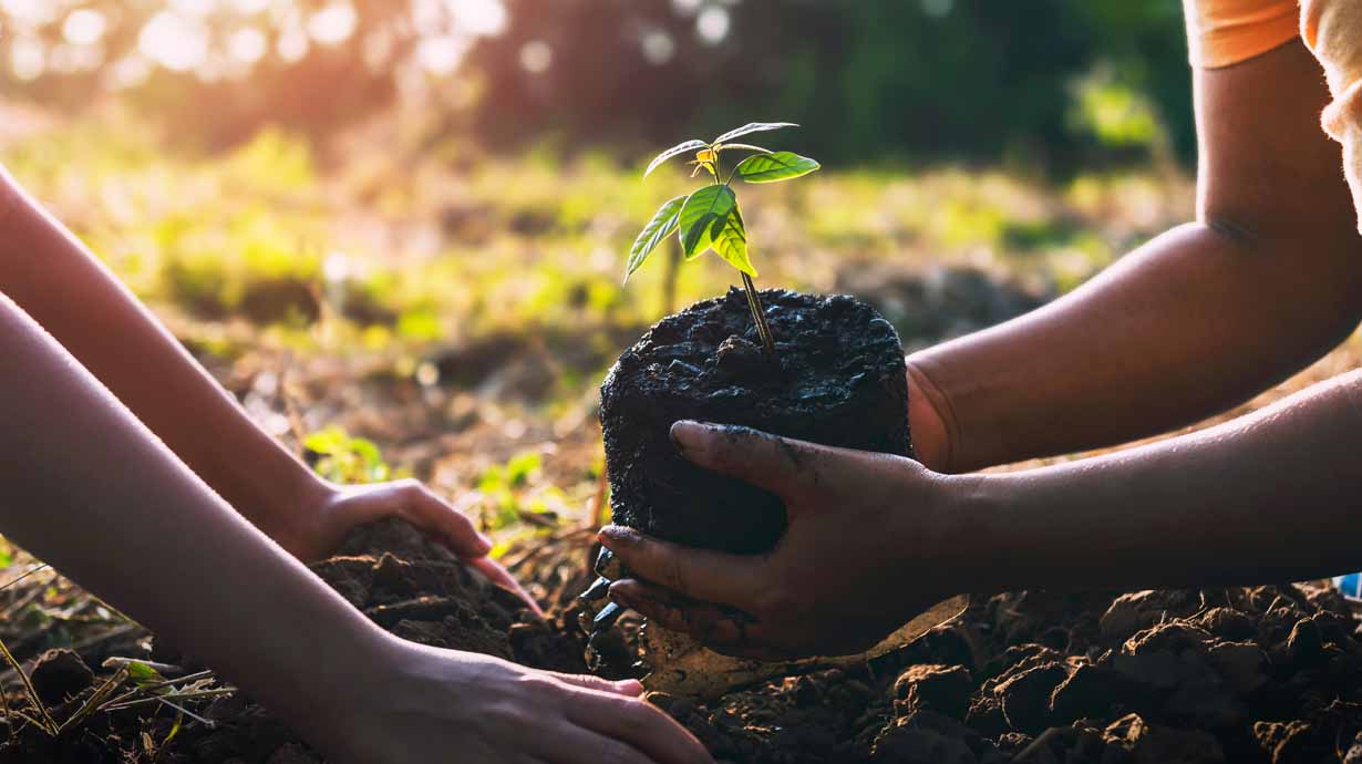 environmental initiatives