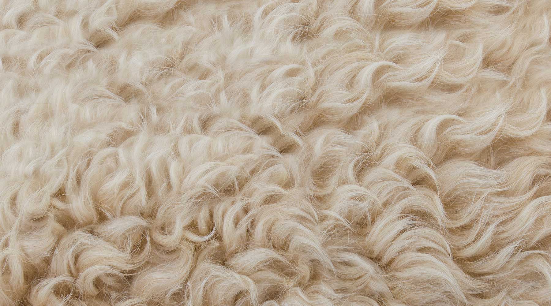 Wool