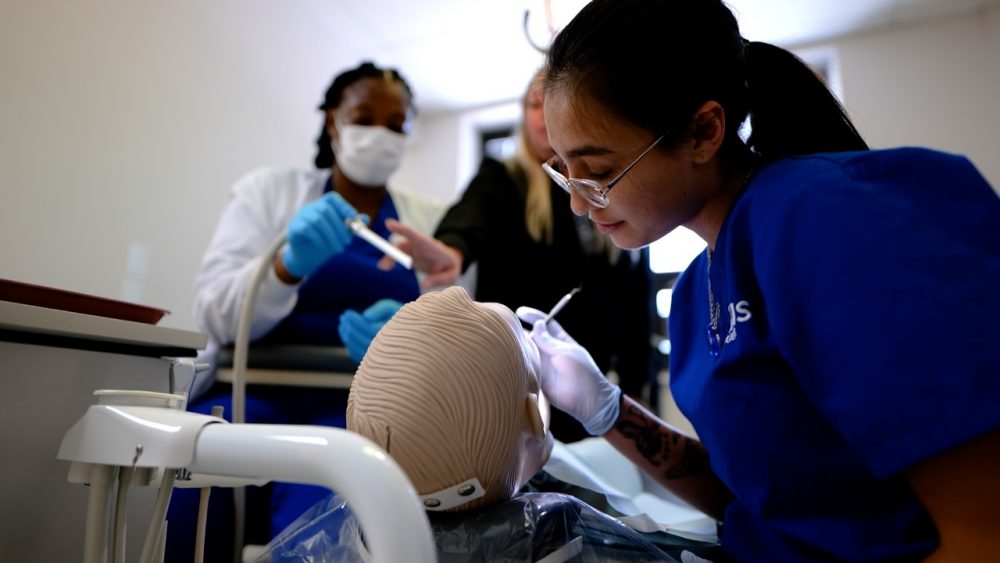 Dental Hygienists