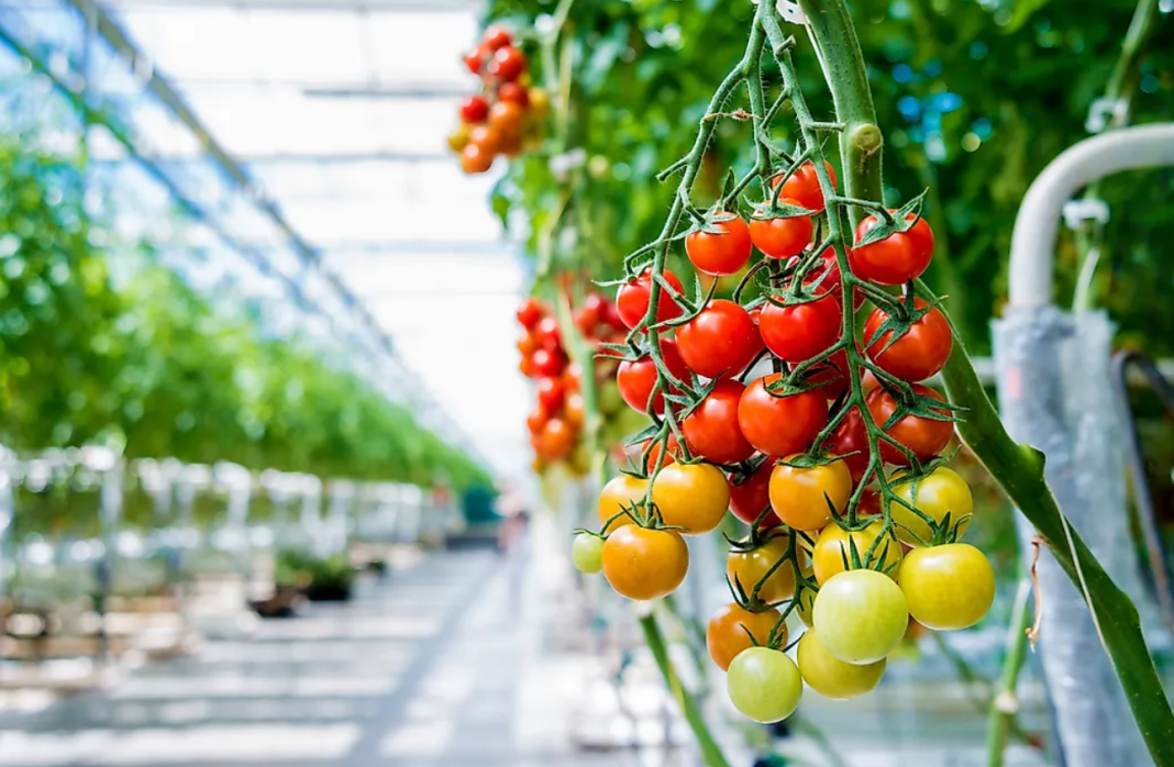 Screenshot 2025-07-27 105706