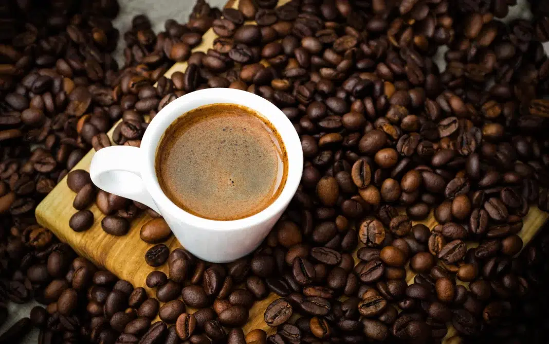 قهوة مصدري القهوة